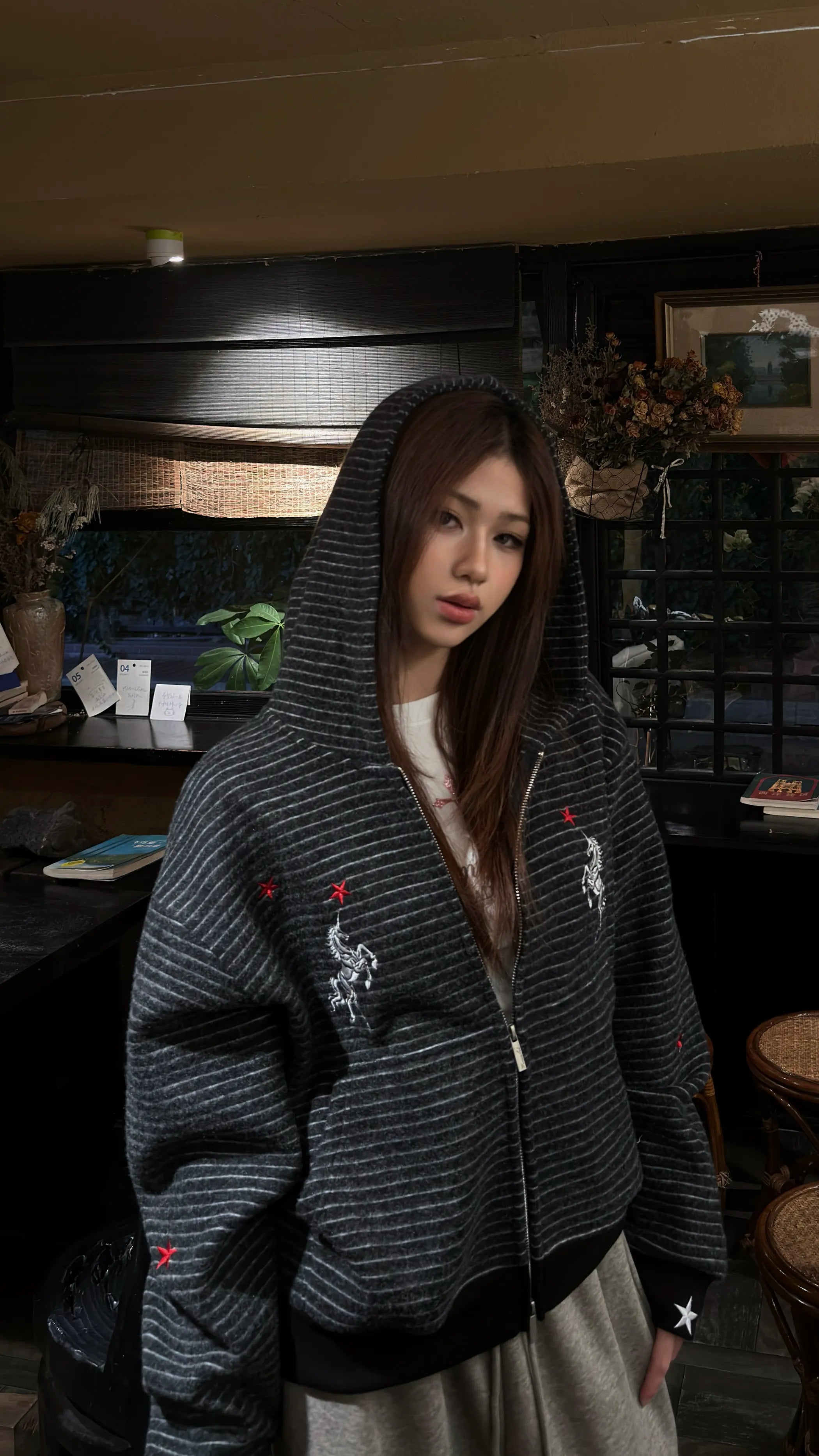 Red Star Unicorn Striped Zip Hoodie